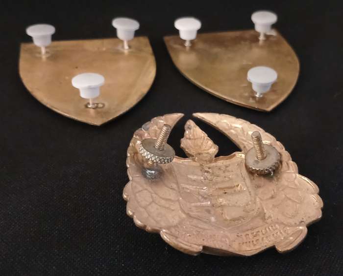 SADF MILITARY GYMNASIUM  GOLD & YELLOW TYPE SHOULDER FLASHES + CAP BADGE             L232