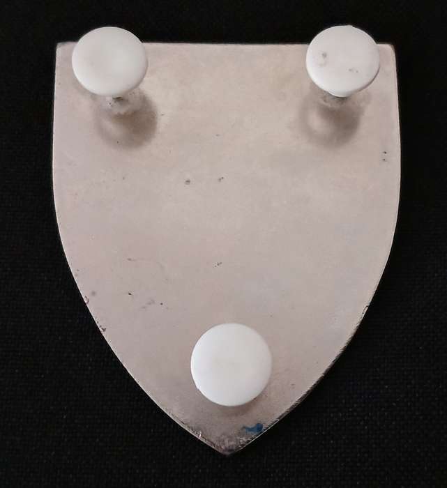 SADF 11 SUPPLY & TRANSPORT DEPOT  SHOULDER FLASH                      L239