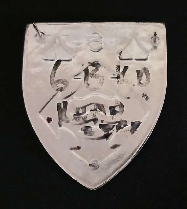 SADF 6 SUPPLY & TRANSPORT DEPOT SHOULDER FLASH                       L249