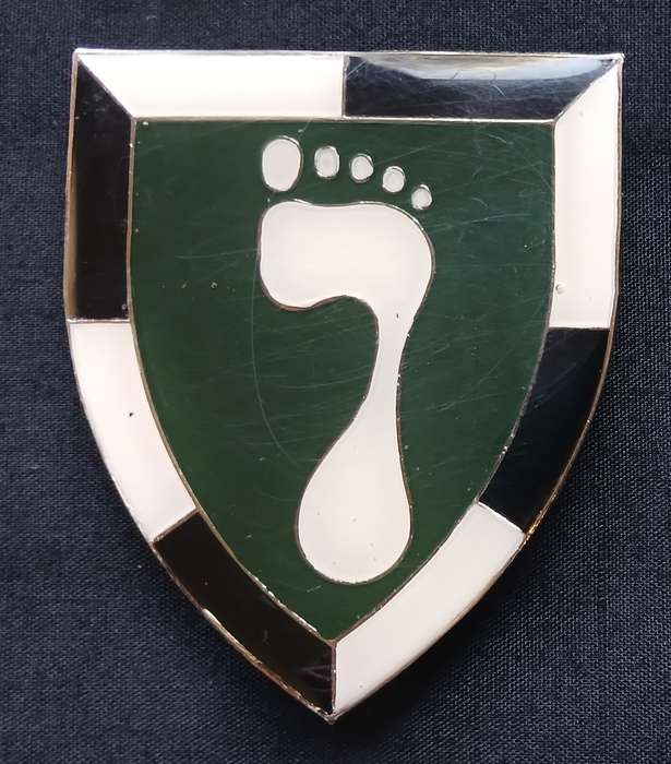 SWA SPECIALIST UNIT SHOULDER FLASH " THIN SOLE " ( GREEN WHITE & SILVER ) 1 ST ISSUE  " RARE "  L259