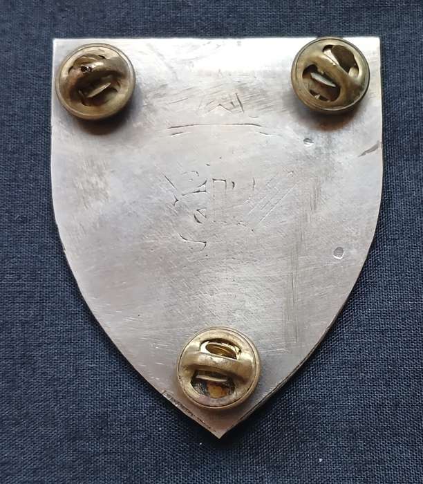 SWA SPECIALIST UNIT SHOULDER FLASH " THIN SOLE " ( GREEN WHITE & SILVER ) 1 ST ISSUE  " RARE "  L259