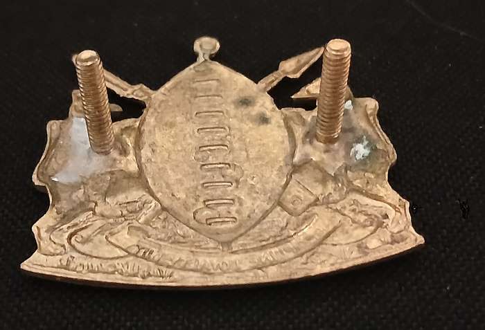 HOMELANDS --- TRANSKEI DEFENCE FORCE GILDING CAP BADGE           " SCARCE "                 P8