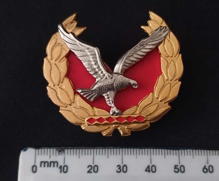 Namibian Police Force Warrant Officer Class 1 Rank Badge With Backing     Size: 43 x 48mm       P11