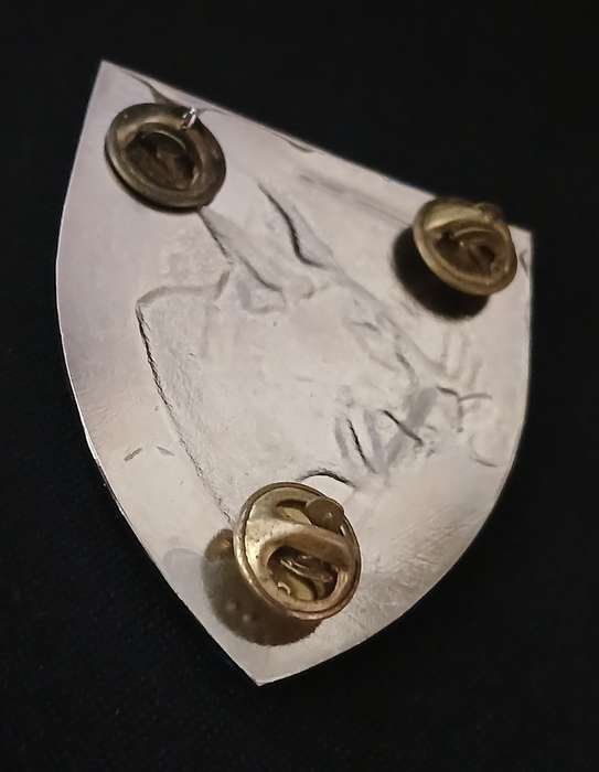 SADF --- NORTHAM COMMANDO SHOULDER FLASH               E3