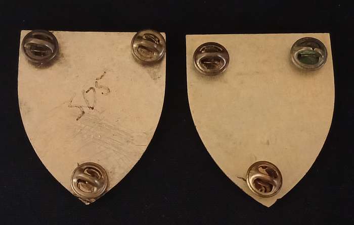 SADF --- ROODEPOORT COMMANDO SHOULDER FLASH PAIR   "" RARE ""              P23