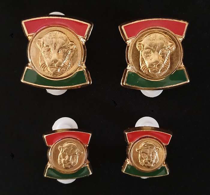 HOMELANDS  ----  Bophuthatswana Defence Force  rank badges  Full Size + Mess Dress            RR1