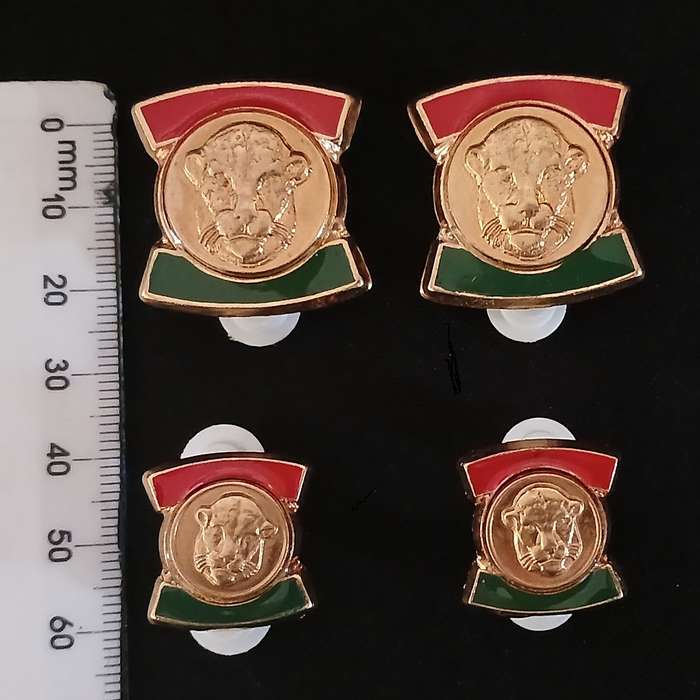 HOMELANDS  ----  Bophuthatswana Defence Force  rank badges  Full Size + Mess Dress            RR1