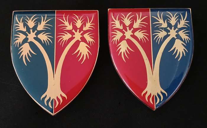 SADF 101 WORKSHOP UNIT SHOULDER FLASH PAIR                   L278