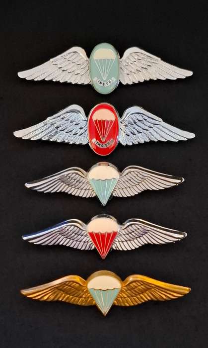 SADF PARACHUTE WINGS COLLECTION Of 5 Wings - Full Size `    One Bid For The Lot           E26