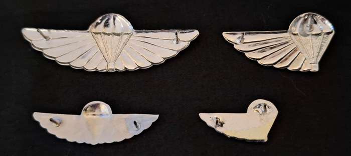 Full set of 101 Air Supply Company Instructor & Despatcher wings             E28