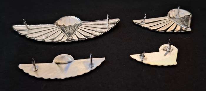Full set of 101 Air Supply Company Instructor & Despatcher wings             E28
