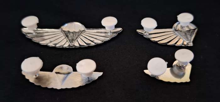 Full set of 101 Air Supply Company Instructor & Despatcher wings             E28
