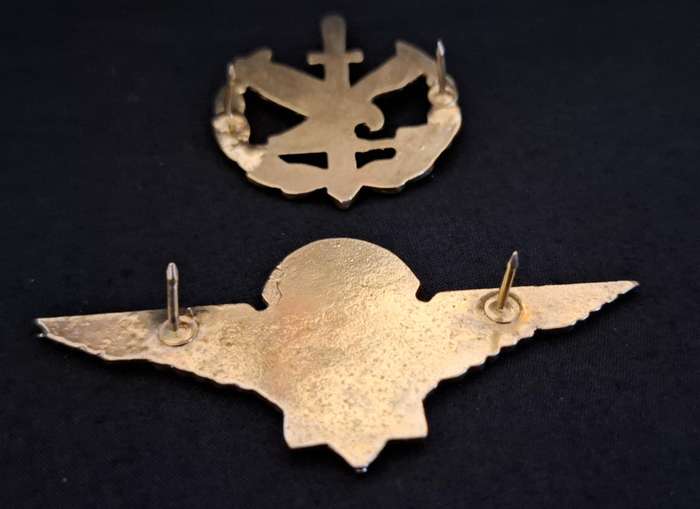 South African Police Special Task Force Operators Badge + Parachute Wings Badge Combo    E38