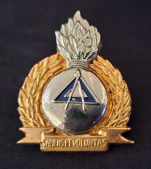 Bophuthatswana Army Engineers Cap Badge                  E69