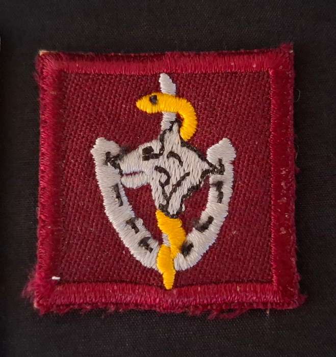 SA MILITARY HEALTH SERVICES VETERINARY ORDERLY Cloth Embroidered Badge           E73