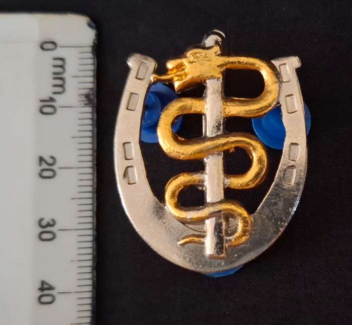 SOUTH AFRICAN MEDICAL HEALTH SERVICES  FARRIER BI-METAL BADGE        E74
