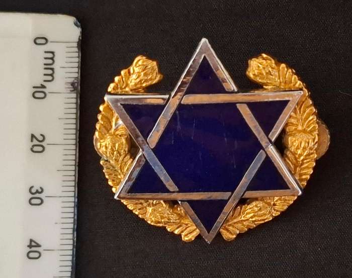 South Africa SADF Jewish Hebrew Rabbi Chaplains Cap Badge           E75