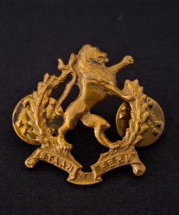 Regiment Hoeveld Gilding Metal Collar Badge   ( STAAN FERM )                E86