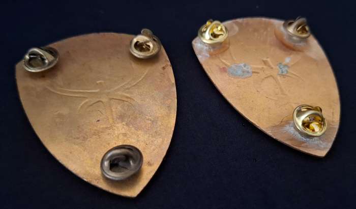 SADF -- SAMS 12 FIELD AMBULANCE UNIT SOULDER FLASH PAIR  ( ONE FLASH PINS REPAIRED )           E93