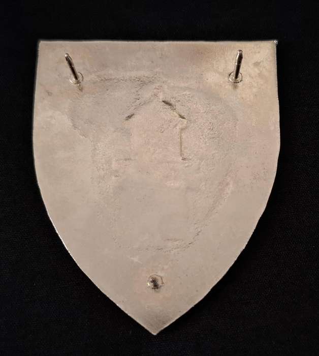 SADF - Regiment Algoa Bay Shoulder Flash                   E116