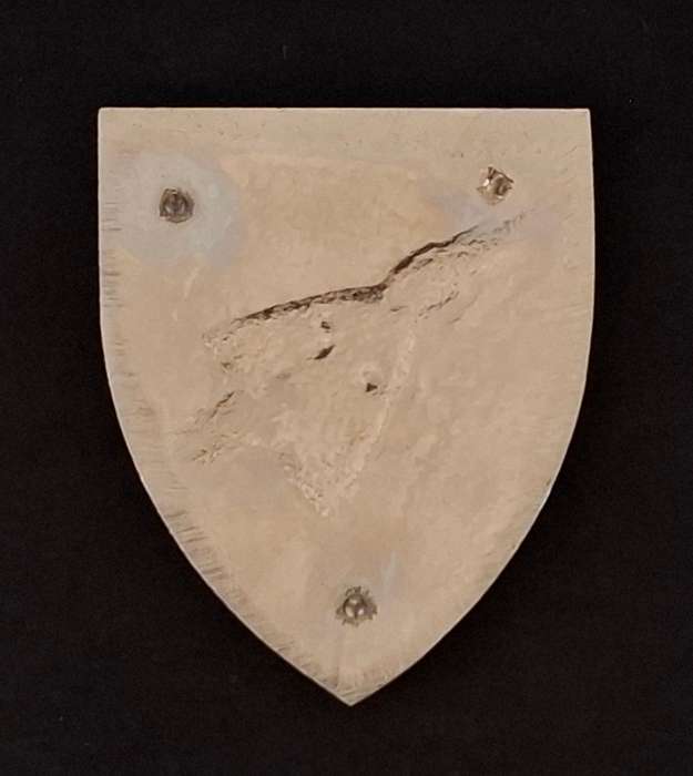 SAAF Shoulder Flash     Silver Colour        E119