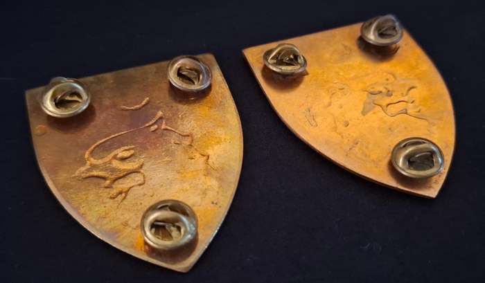 SADF  101 AIR SUPPLY UNIT SHOULDER FLASH PAIR                         N3