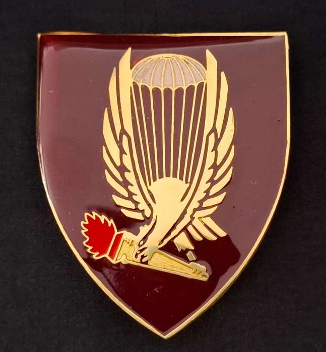 44 Pathfinder Platoon Shoulder Flash             N5