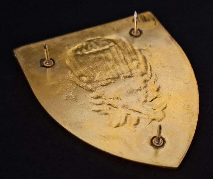 44 Pathfinder Platoon Shoulder Flash             N5
