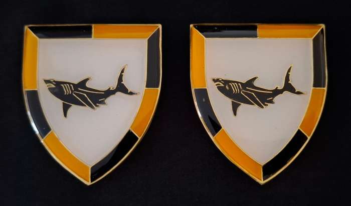 SADF Era 74 Brigade With 7 Infantry Division Shoulder Flashes                  N1