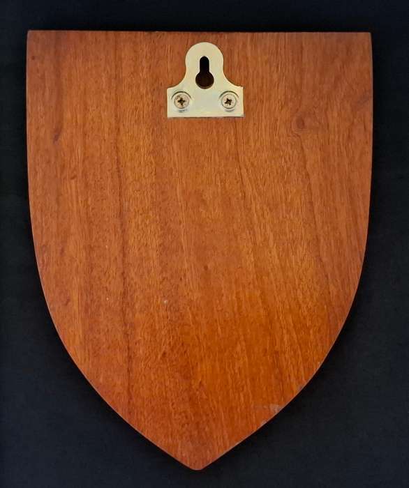 RECCE 1st SWA Special Forces South West African Territorial Force Command Wood Shield Plaque