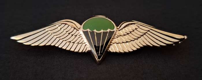 Border War- 1970s SADF Parachute Battalion 'Night Test Jump'  Wing         E91