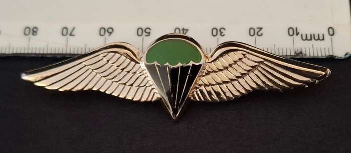 Border War- 1970s SADF Parachute Battalion 'Night Test Jump'  Wing         E91