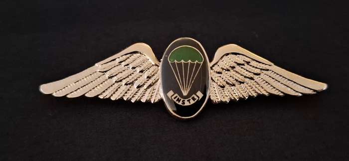 Border War- 1970s SADF  INSTRUCTOR Parachute Batt. 'Night Test Jump' Wing              E92