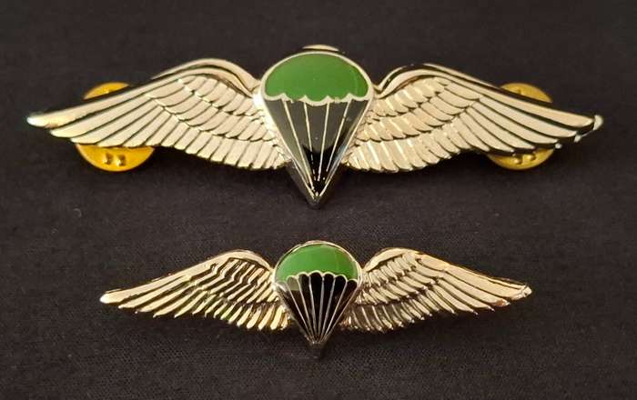 Border War- 1970s SADF Parachute Battalion 'Night Test Jump'  Wings Full Size And Miniature      E91