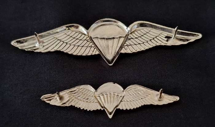Border War- 1970s SADF Parachute Battalion 'Night Test Jump'  Wings Full Size And Miniature      E91