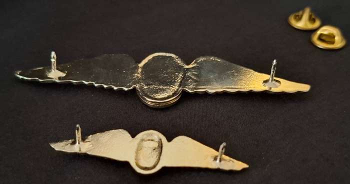 Border War- 1970s SADF  INSTRUCTOR Parachute Batt.'Night Test Jump' Wings Full + Miniature E92