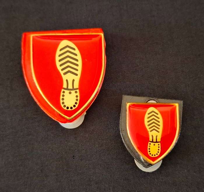 SADF/SANDF TRACKER INSTRUCTOR PIN BADGES - Pocket And Mess Dress Size                 E94