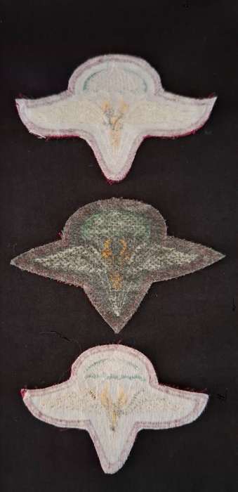 SADF 1 Parachute battalion cloth beret badges ---- 3 Types         E96