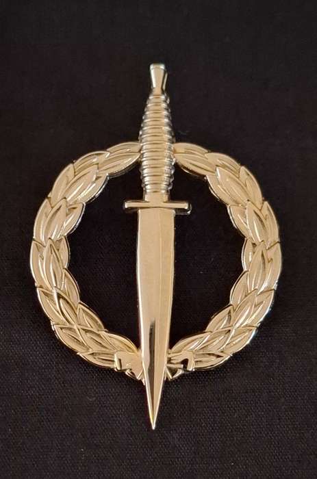 SA ARMY - Recce Operator Qualification Badge    " STAMPED SILVER "            E98