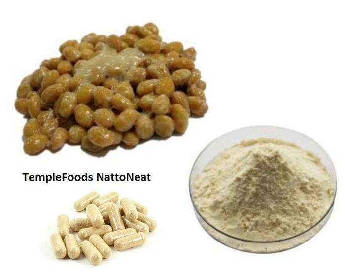 Temple Foods Natto Neat. Japanese Superfood. Nattokinase 2000FU, 500mg. - 60 Pack