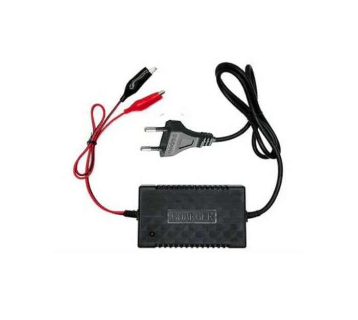 G - Amistar 12V Car Battery Intelligent Pulse Charger