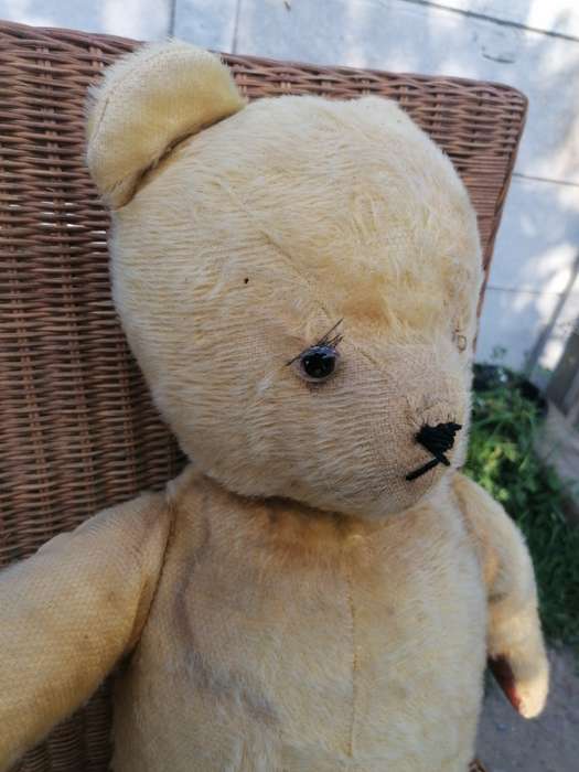 Ark Mohair SA Teddy Bear 75years. 73cm