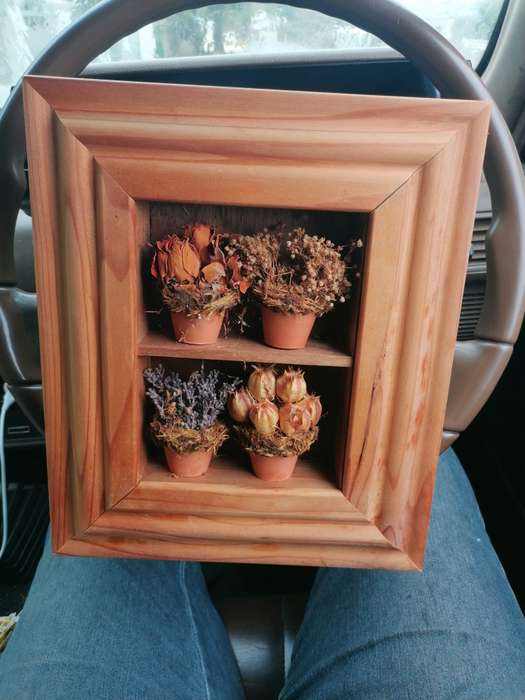 Lovely framed pots