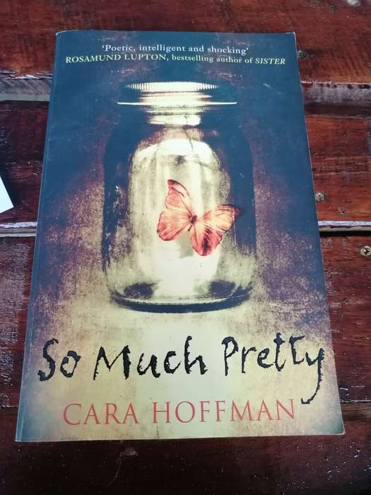 So Much Pretty Novel by Cara Hoffman