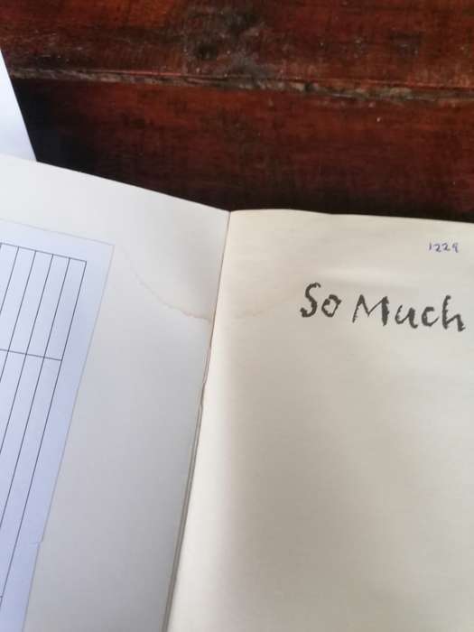 So Much Pretty Novel by Cara Hoffman