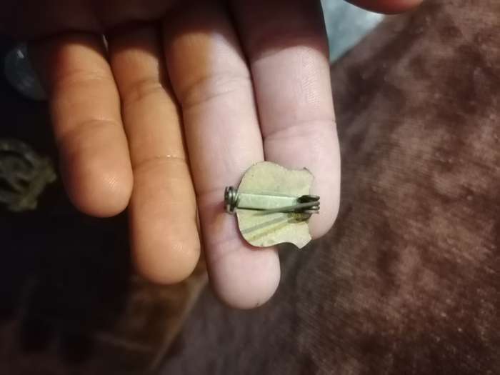 Vintage Enamel pin