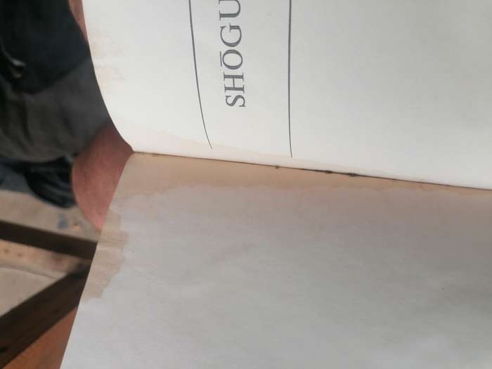 Shōgun Novel by James Clavell volume 2