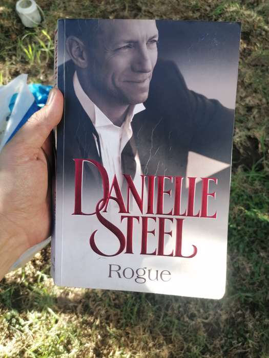 Danielle Steel Rogue
