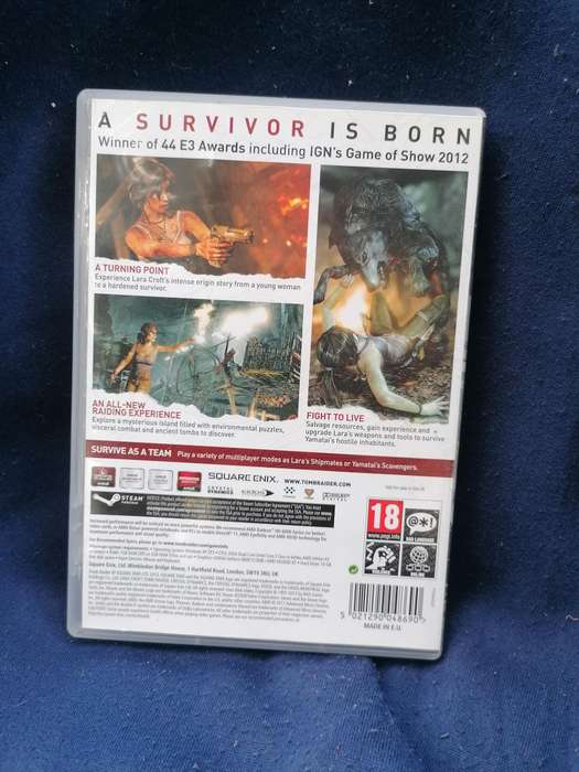 Tomb raider 2013 pc game