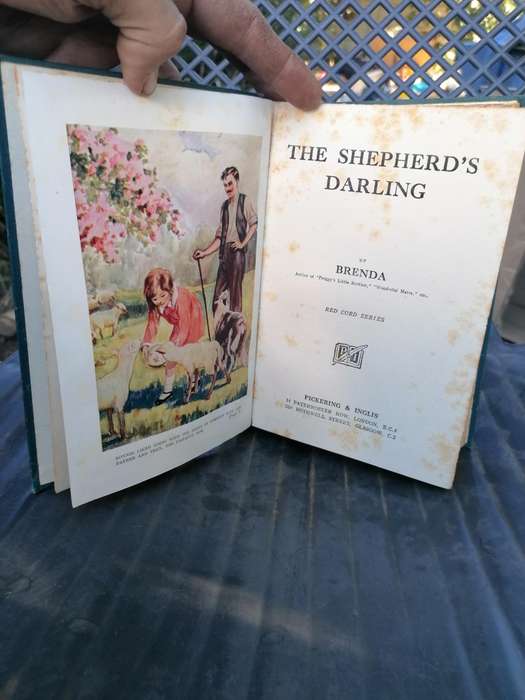 the Shepherds darling by Brenda the red cord series book